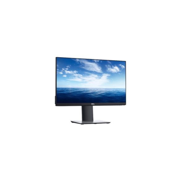 Dell Professional P2219Hb / 22inch / 1920 x 1080 / A /  használt monitor
